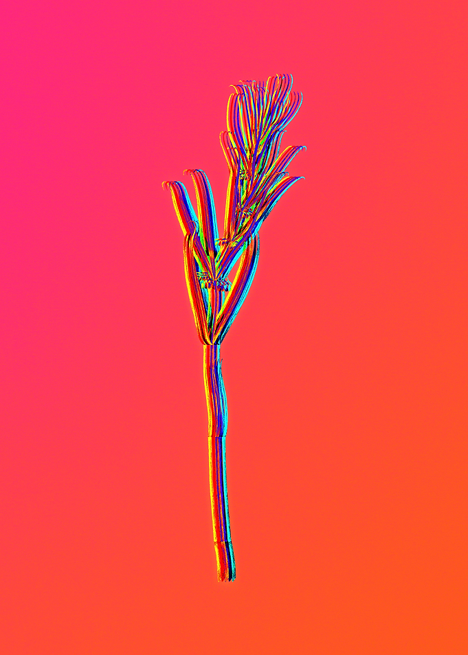 Blue Neon Flower Artwork