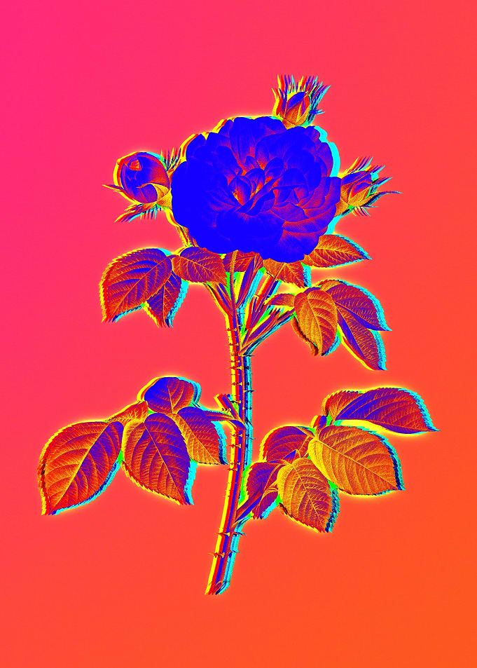 Pink Neon Rose Painting