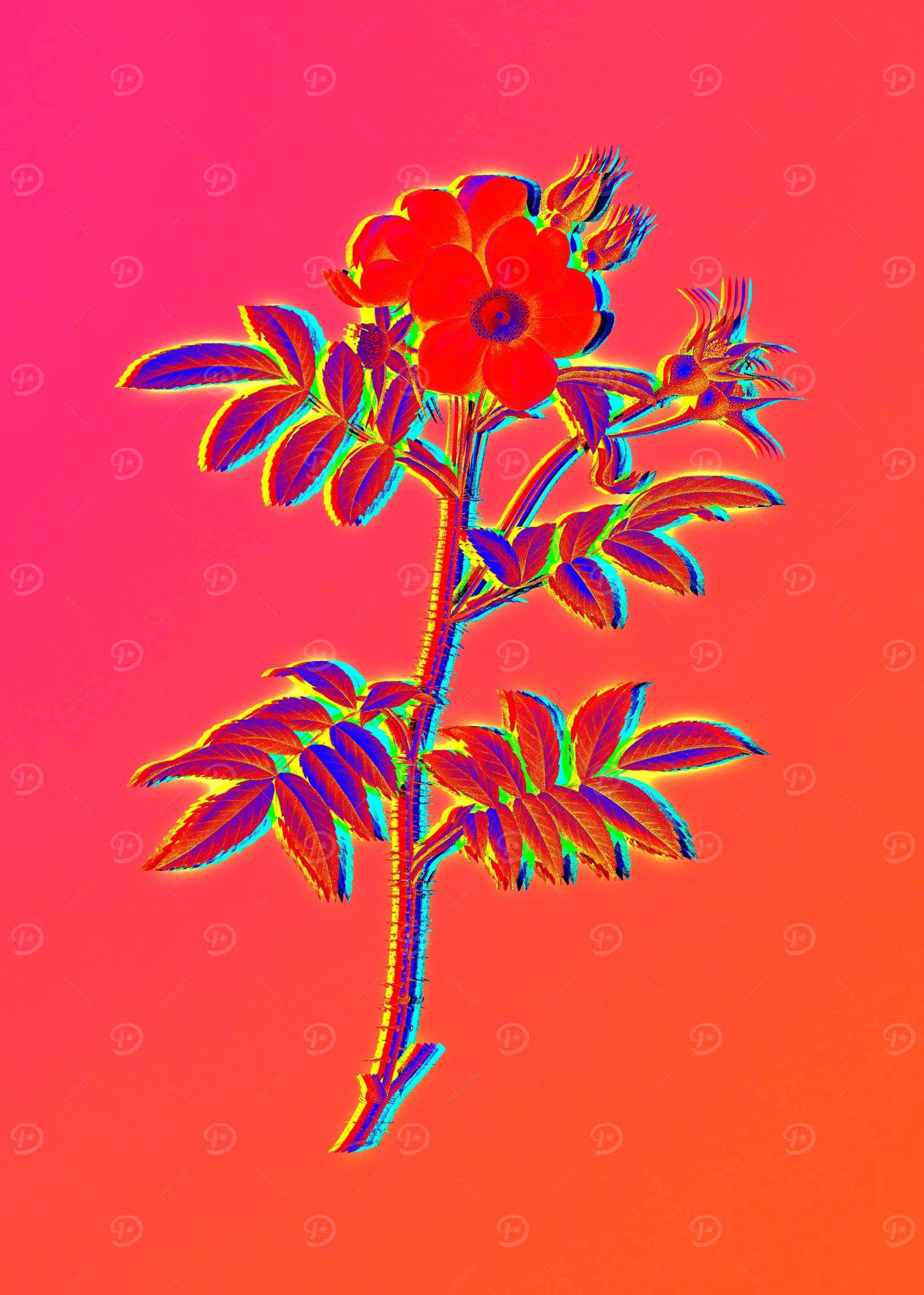 Pink Neon Roses
