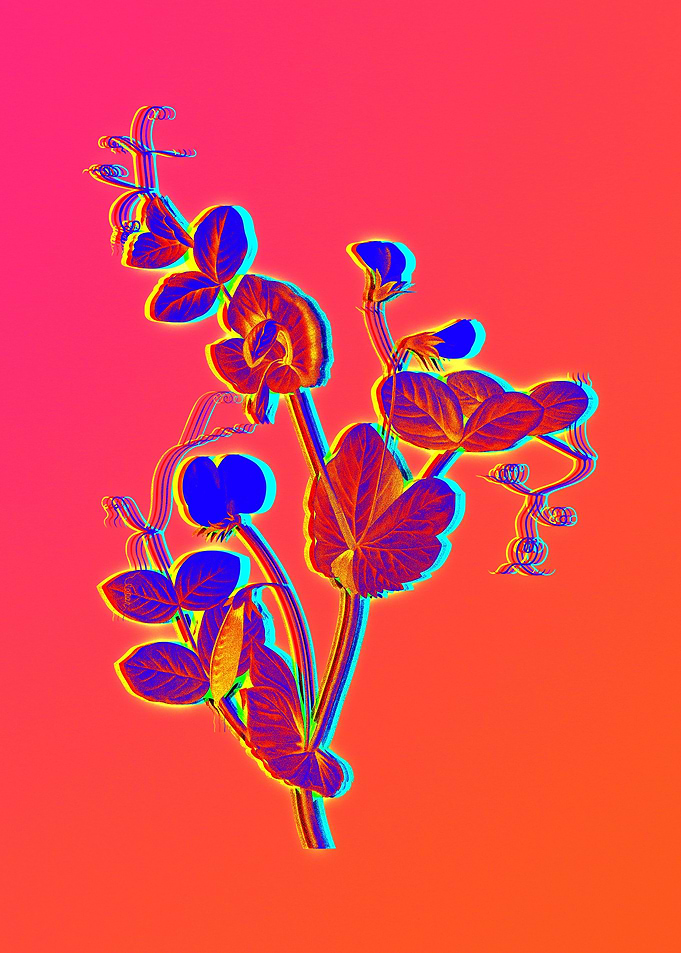Neon Flowers Illustration