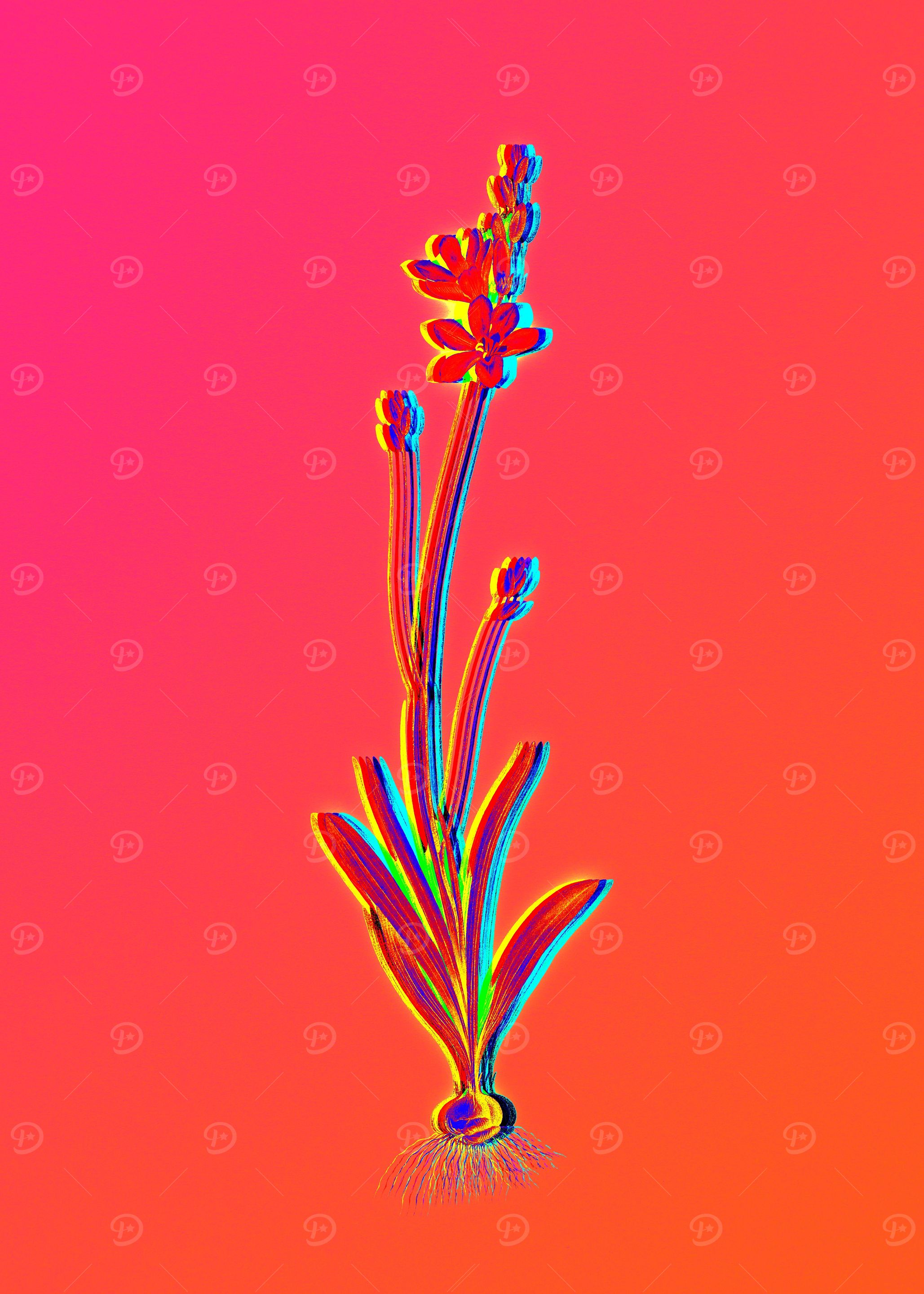 Hot Neon Pink Flowers