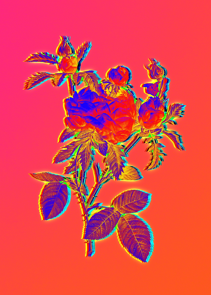 Neon Flora Illustration