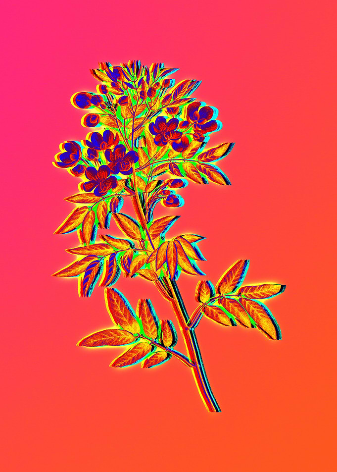 Neon Flower Illustration