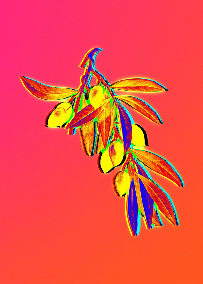 Neon Flower Illustration