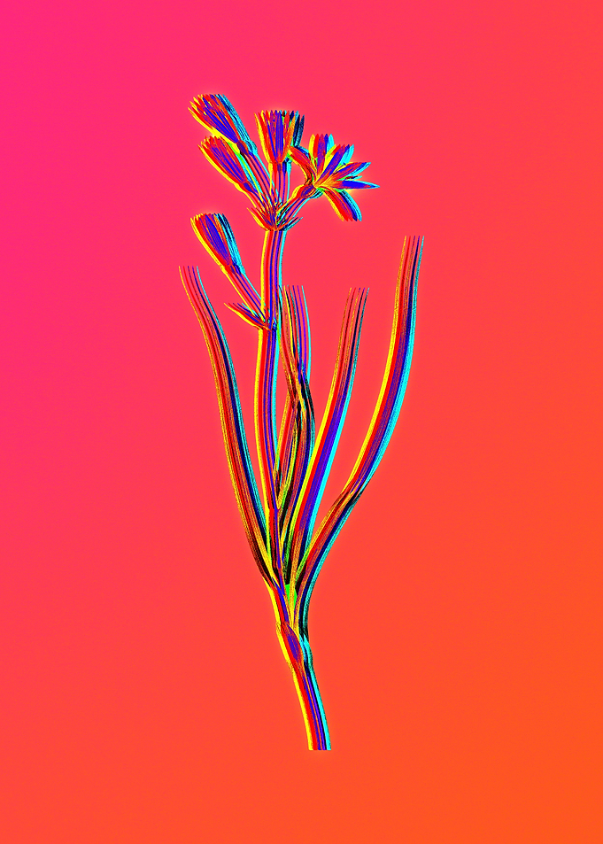 Neon Flower Illustration
