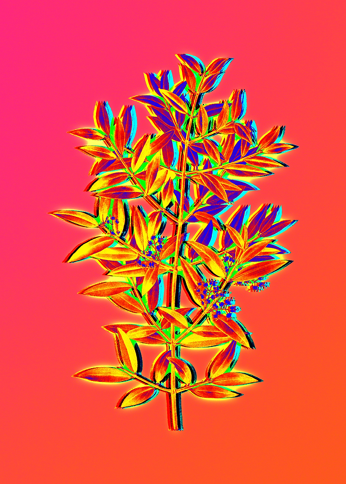 Neon Floral Illustration