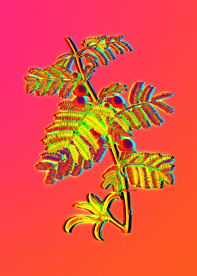 Neon Flower Illustration