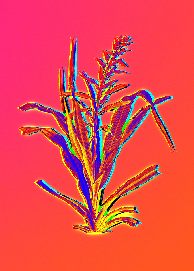 Neon Flower Painting