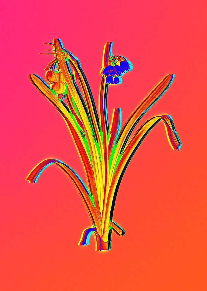 Neon Flower Illustration