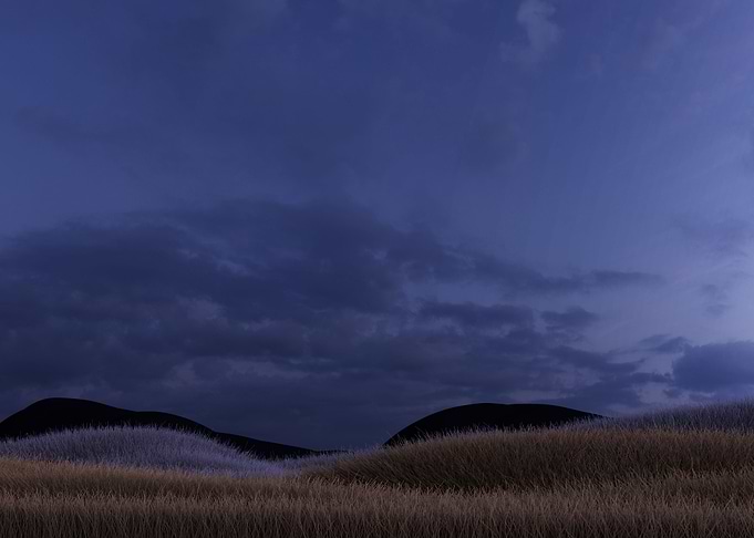 Grassland