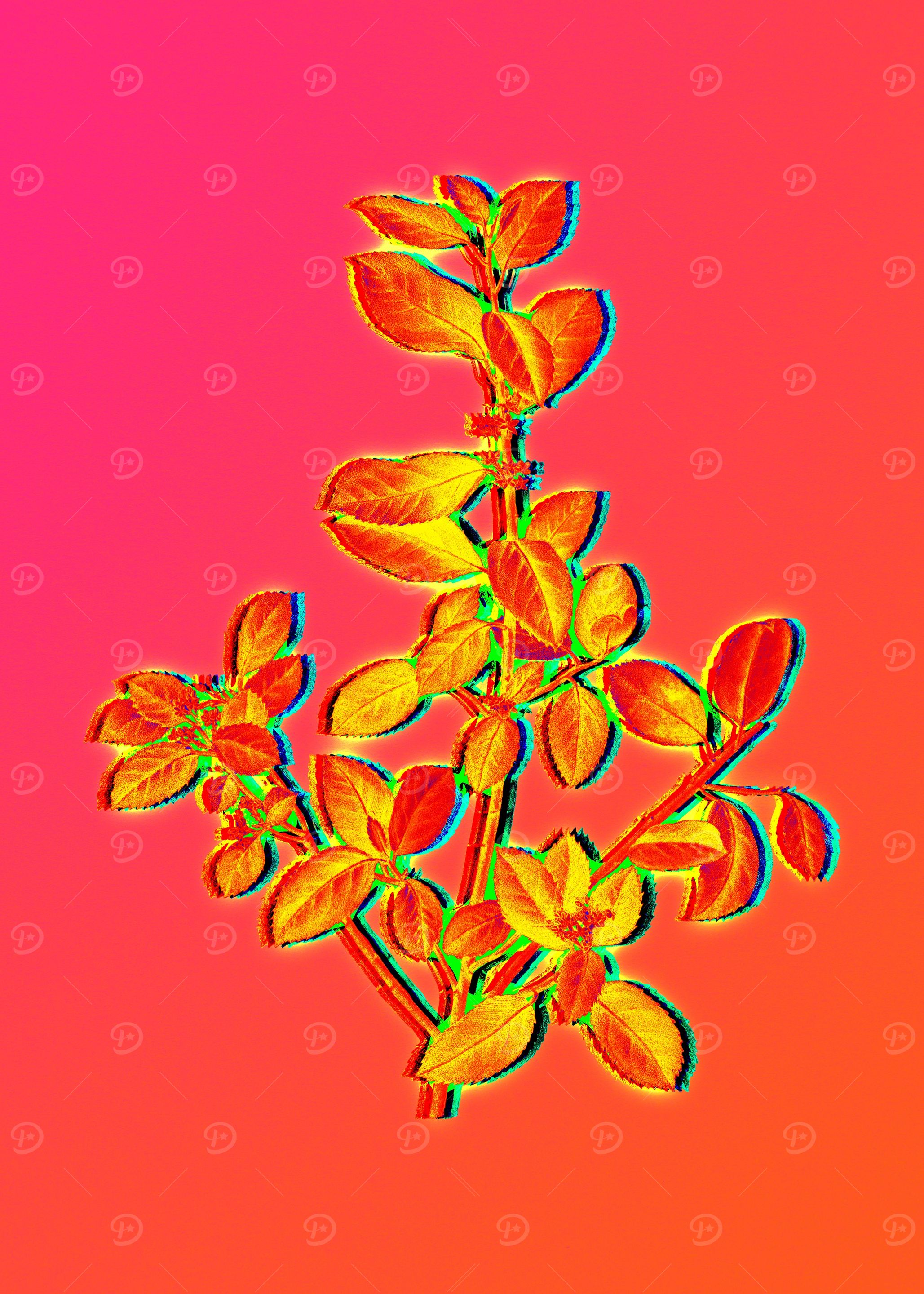 Neon Fabulous Flowers