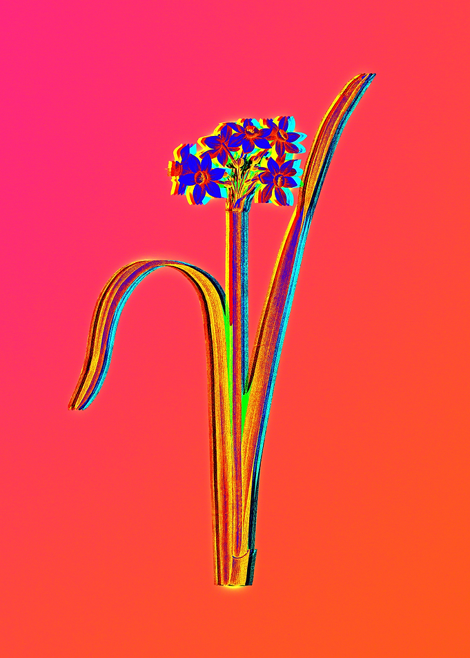 Neon Flowers Illustration
