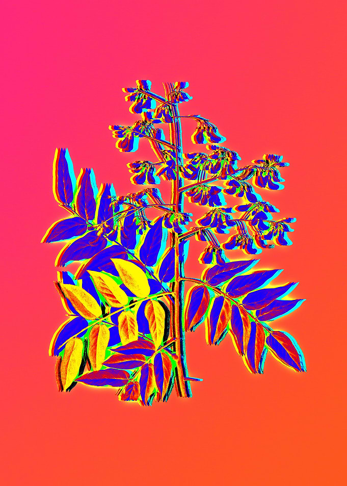 Neon Fabulous Flowers
