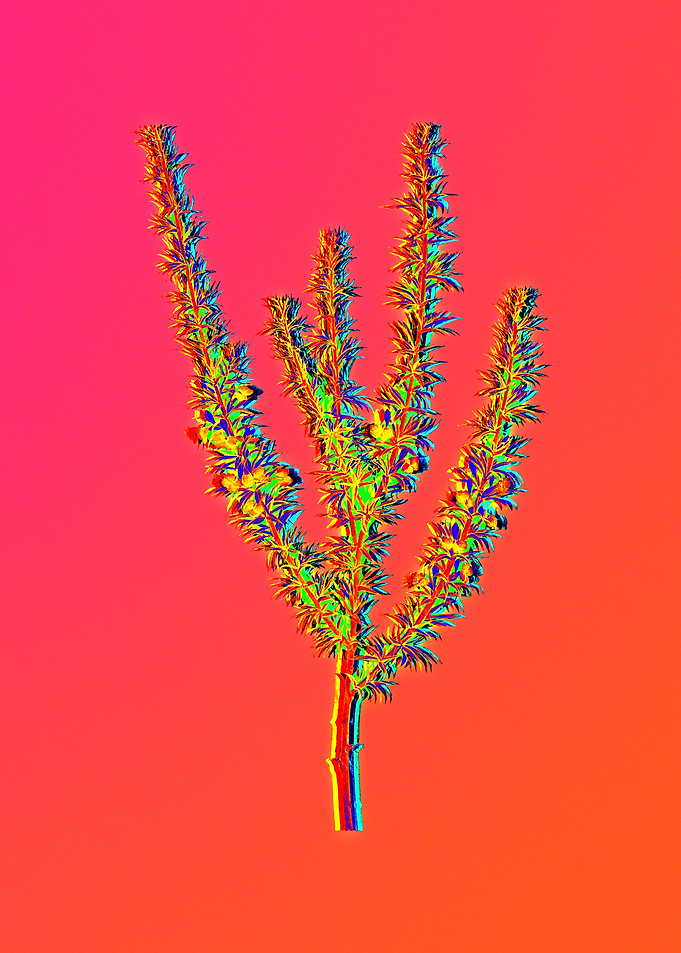 Neon Floral Illustration
