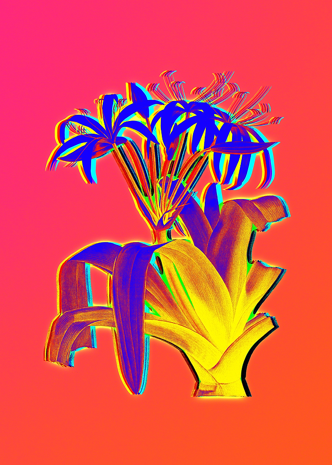 Neon Flowers Illustration