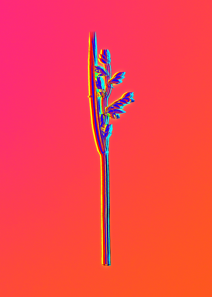 Neon Flower Painting