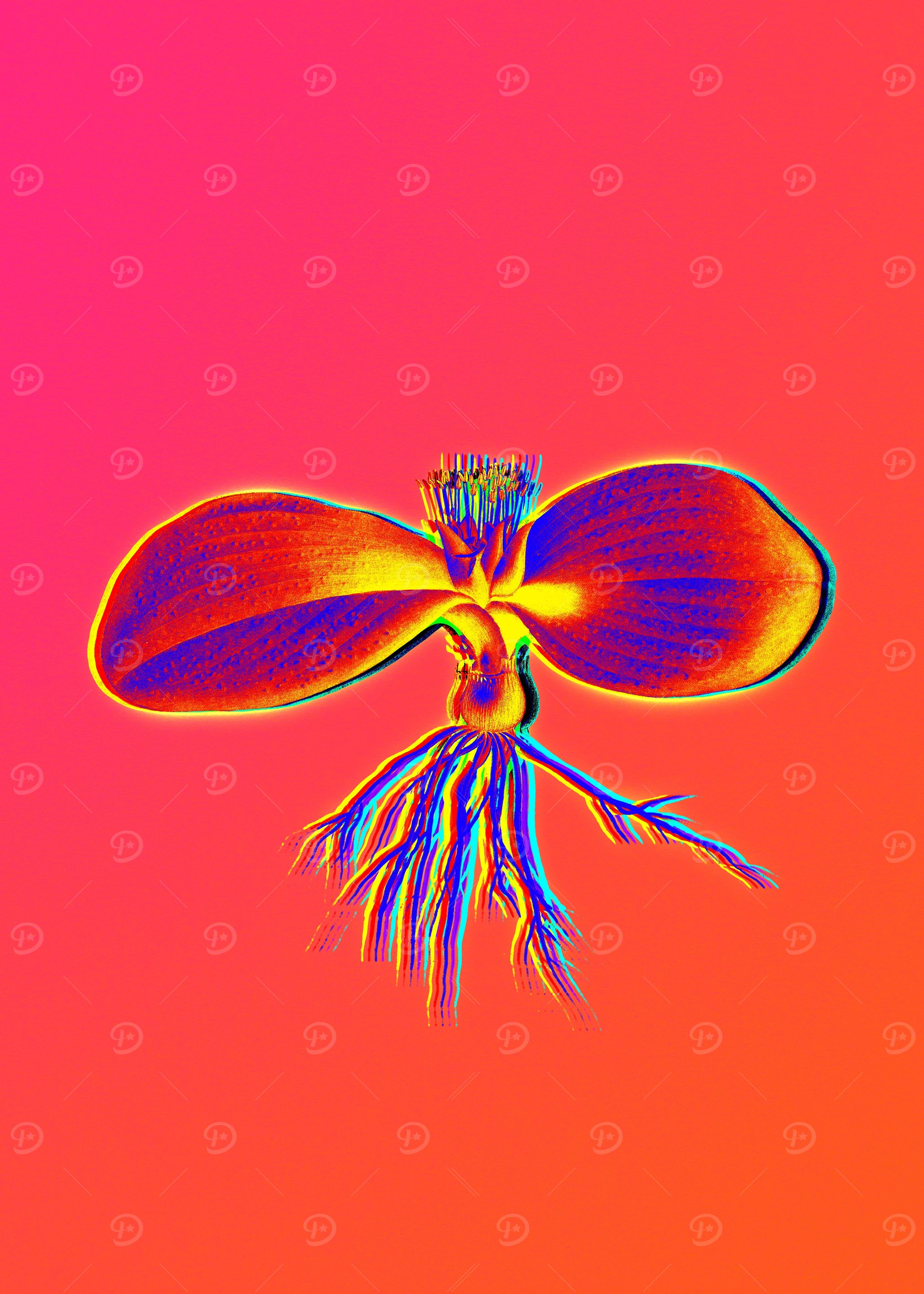 Hot Neon Pink Flowers