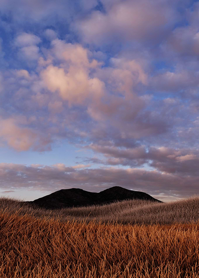 Grassland