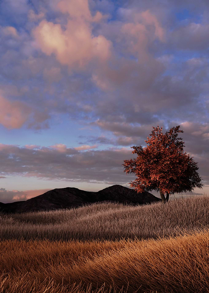 Grassland