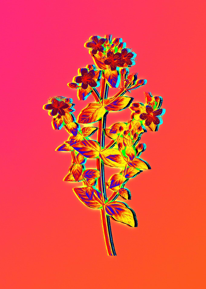 Neon Botanical Drawings