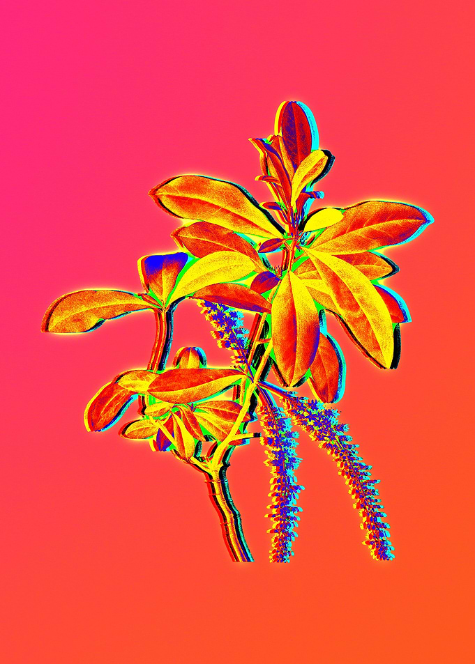 Neon Flowers Illustration
