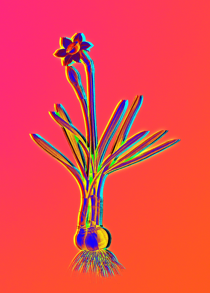 Neon Flower Illustration
