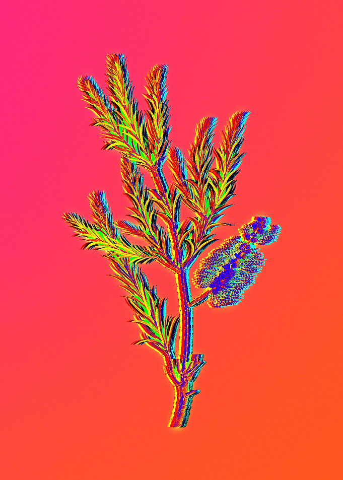 Neon Flowers Illustration