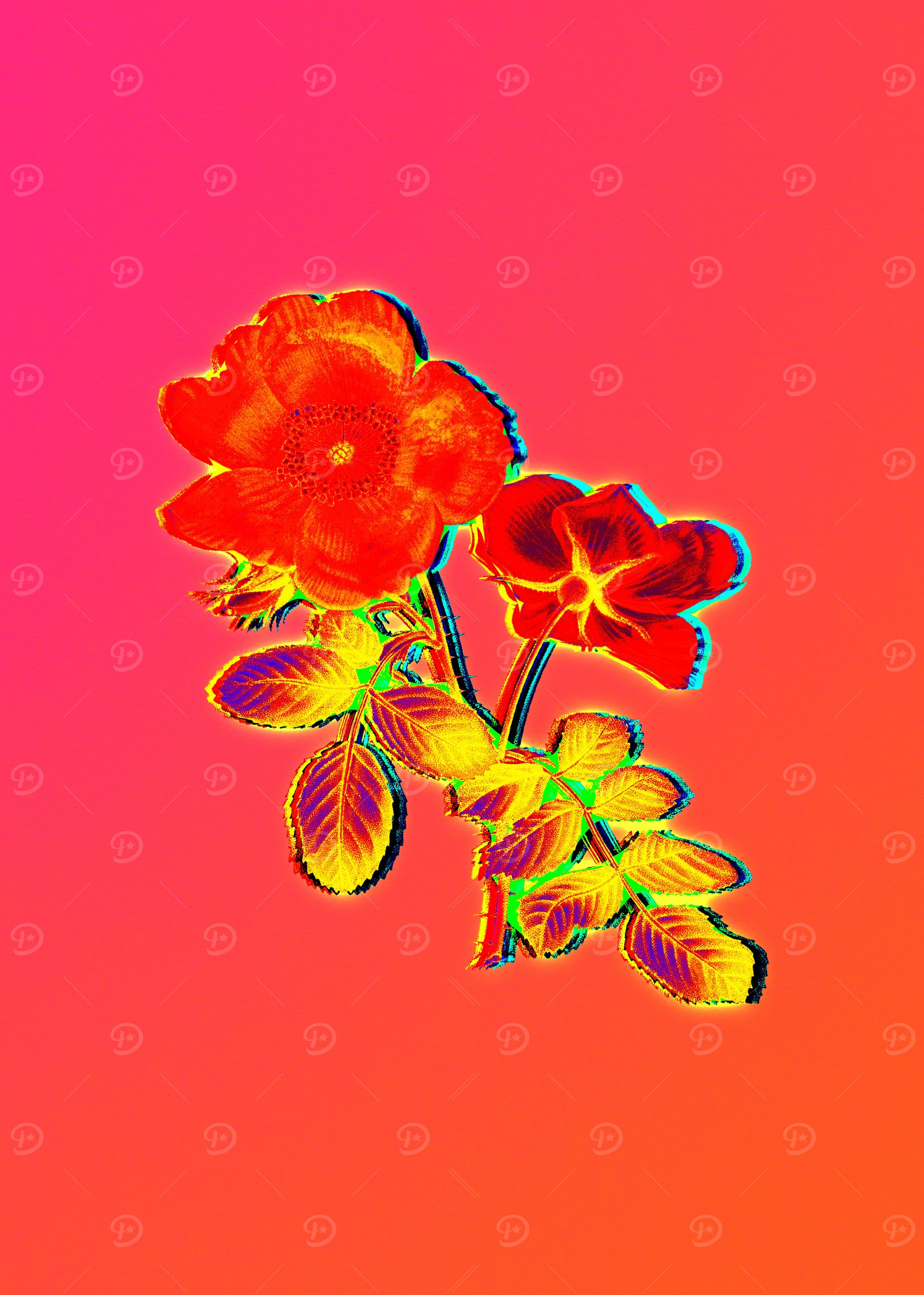 Neon Flower Illustration