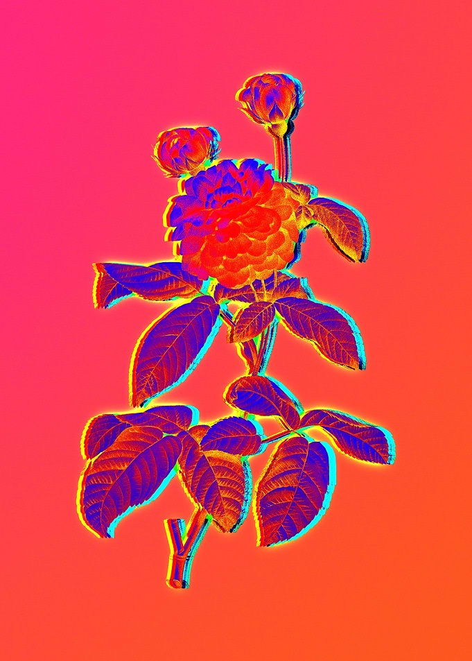 Neon Flower Illustration