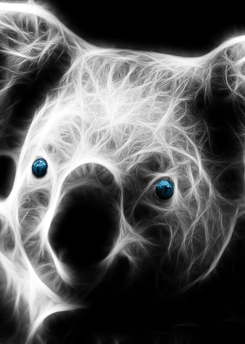 Koala Glow Light
