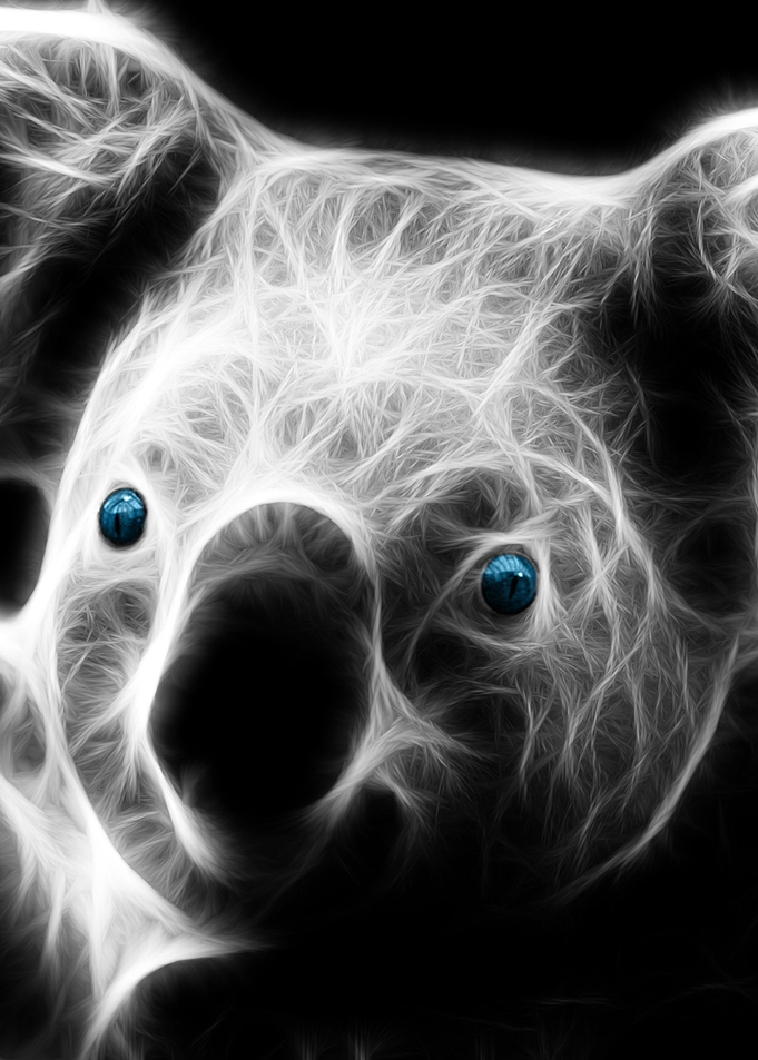 Koala Glow Light