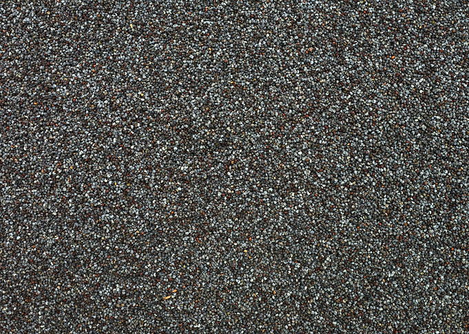 Dry poppy seeds texture