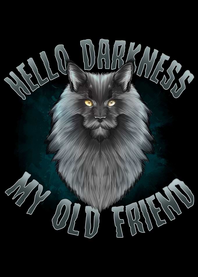 Maine Coon Cat