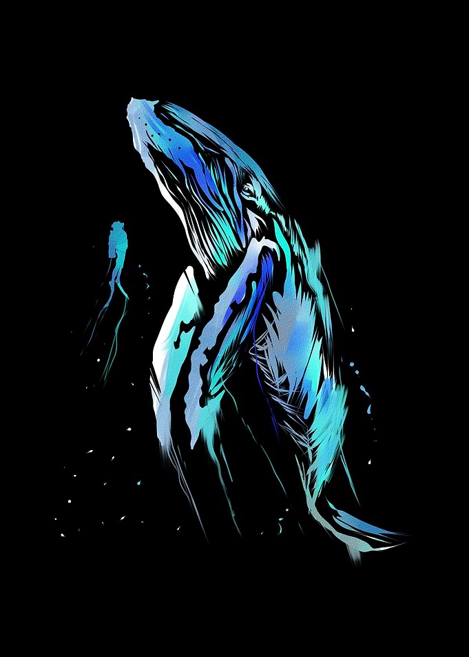 Scuba Diving Humpback Dive