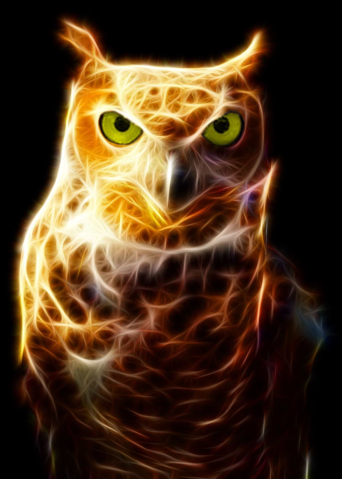 Owl Neon color