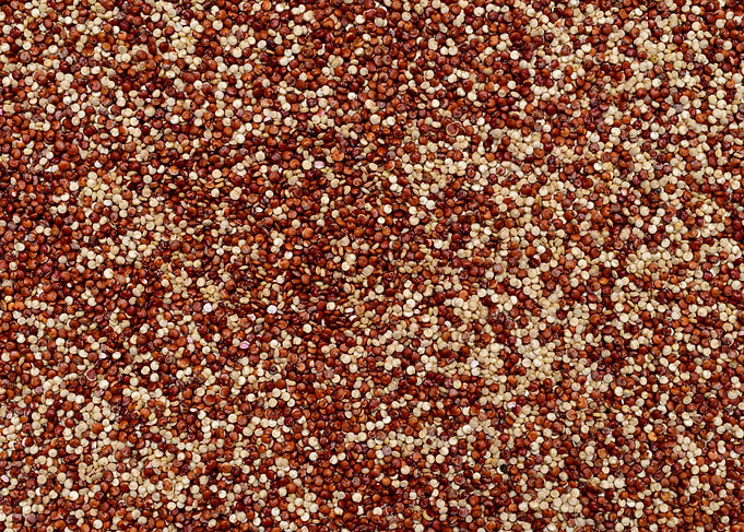 red chia seeds texture