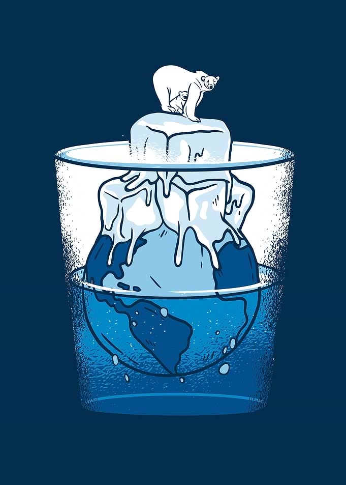 Ice bear