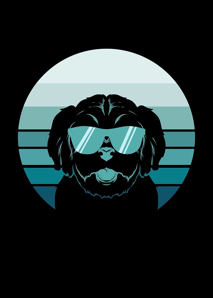 Havanese Dog Retro Vintage