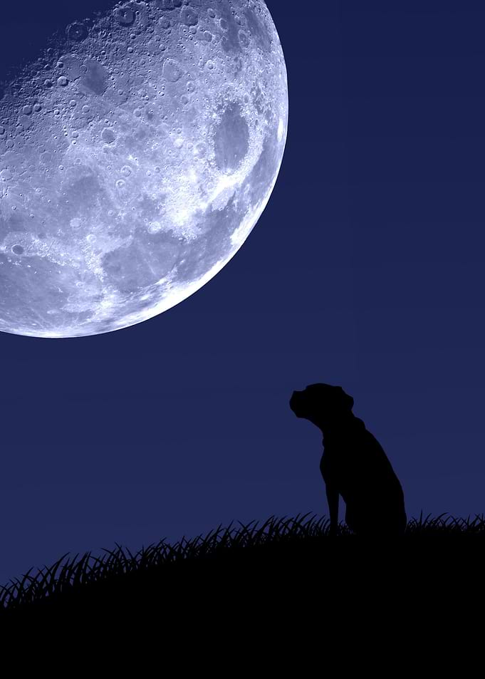 Talking to the moon