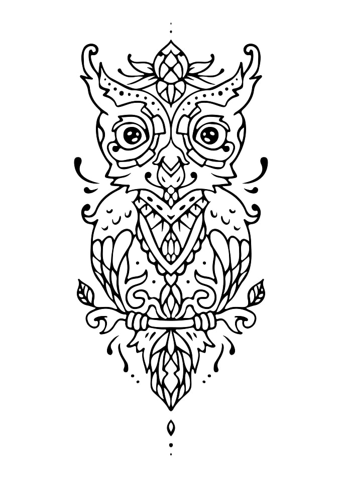 Owl Mandala