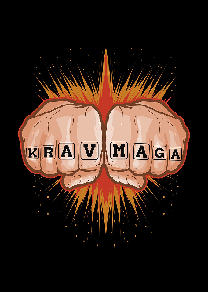 Krav Maga MMA Martial Arts