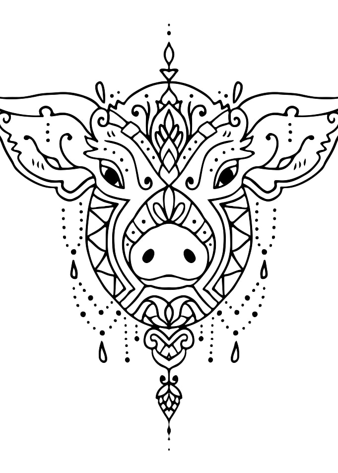Pig Mandala