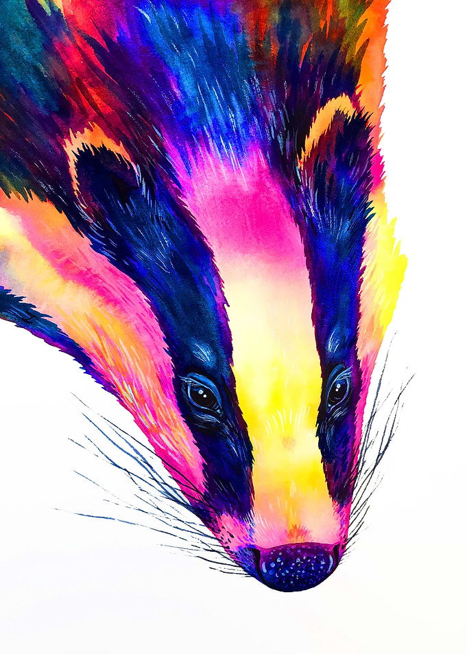 European Badger