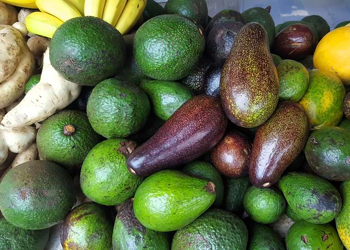 Just some avocados