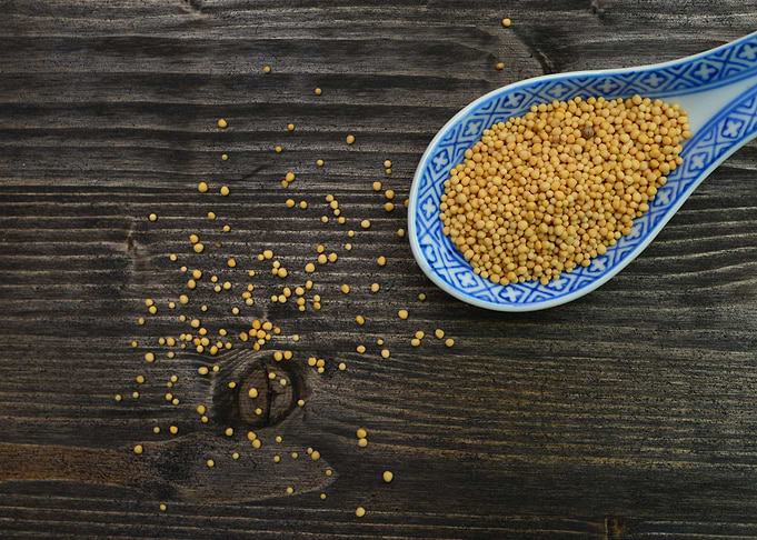 mustard seeds spoon