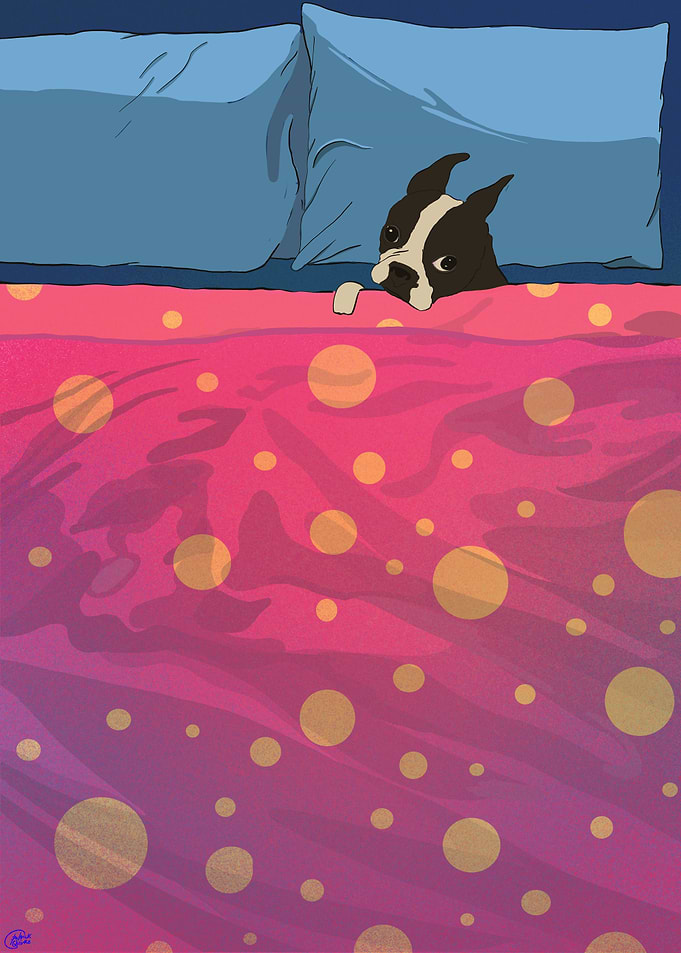 Sleepy Boston Terrier