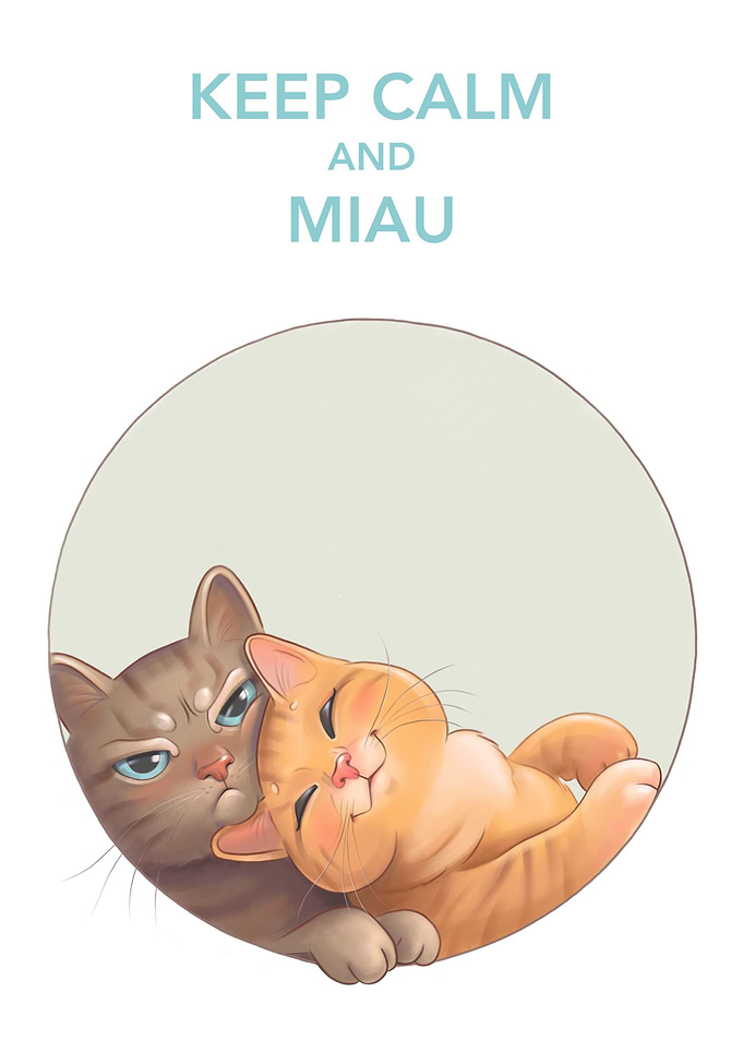 Funny cats