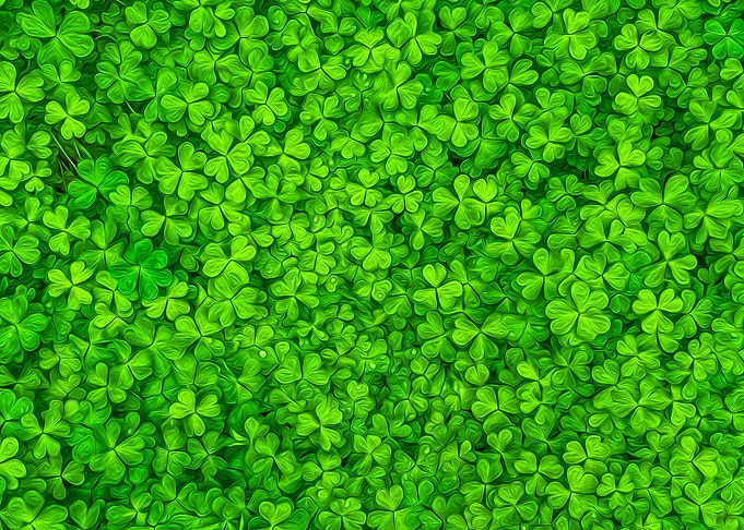 Clover Foliage