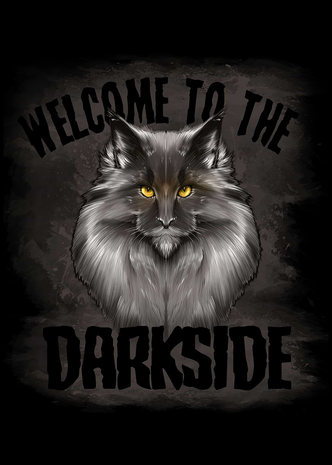 Maine Coon Cat