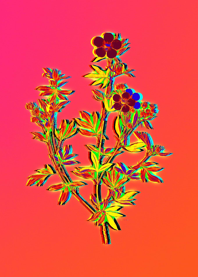 Neon Leaf Illustration